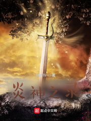 炎神战队国语